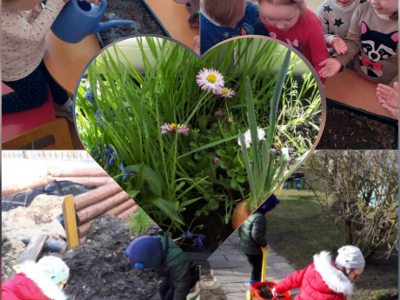 Pavasariniai „Čiauškučių” rūpestėliai