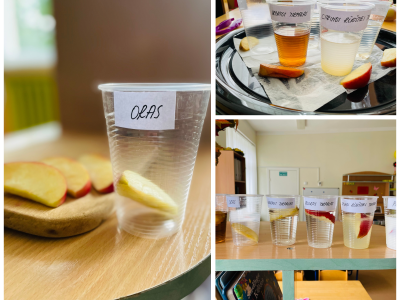 Obuolių laboratorija Obuolių laboratorija