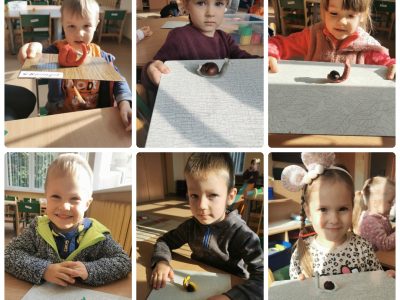 Pažintis su sraige Pažintis su sraige