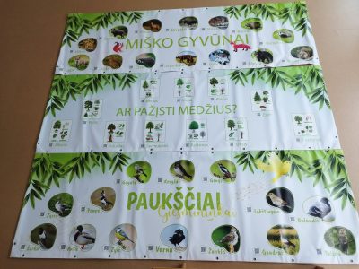 Įgyvendiname projektą ,,Saulutės vaikams rūpi gamtos rūpestėliai“ Įgyvendiname projektą ,,Saulutės vaikams rūpi gamtos rūpestėliai“