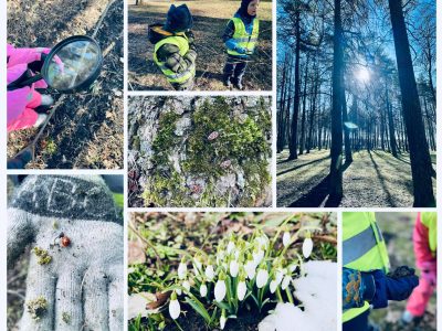 „Smalsučiai” – pavasario detektyvai „Smalsučiai” – pavasario detektyvai