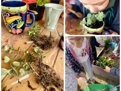 Atėjo pavasaris. Auginsiu augalus Atėjo pavasaris. Auginsiu augalus