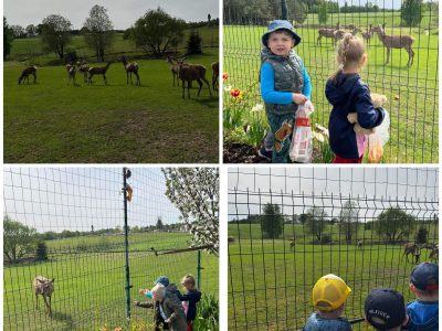 Šeimos šventę šiemet „Čiauškučiai“ paminėjo kitaip Šeimos šventę šiemet „Čiauškučiai“ paminėjo kitaip