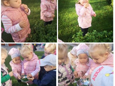 STEAM veikla „Arbatėlė iš darželio lysvės”