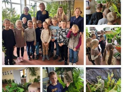 Edukacija  „Gabijos” gimnazijoje