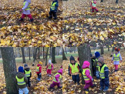 ,,Klausučių” veikla parke