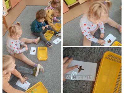 Gyvūnai – mūsų draugai Gyvūnai – mūsų draugai