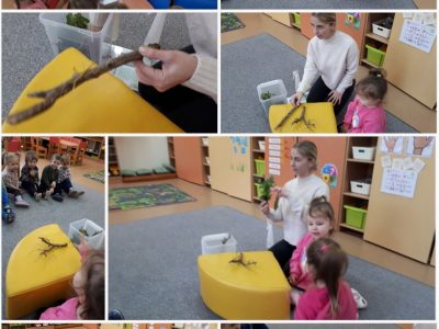 Svečiuose Ugnės mama Svečiuose Ugnės mama