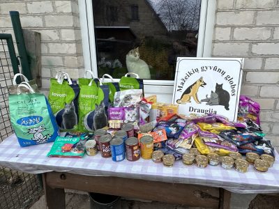 Dovanos keturkojams Dovanos keturkojams