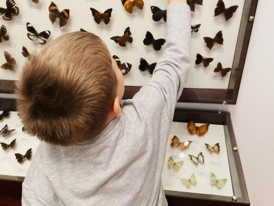 Išvyka į Akmenės krašto muziejų Išvyka į Akmenės krašto muziejų