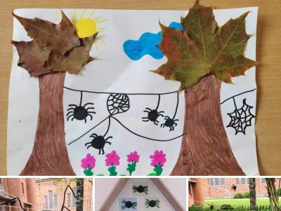 Tarptautinis projektas „Išdykęs voriukas“ Tarptautinis projektas „Išdykęs voriukas“