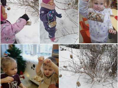 STEAM veikla ,,Skanėstas paukščiams”