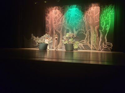 Teatro stebuklas vaikams Teatro stebuklas vaikams