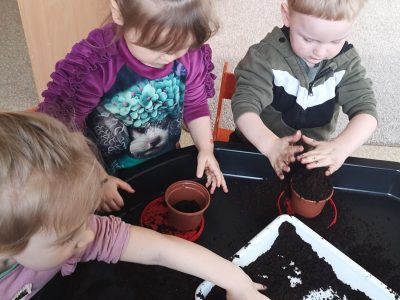 Nuo sėklytės iki daigelio Nuo sėklytės iki daigelio