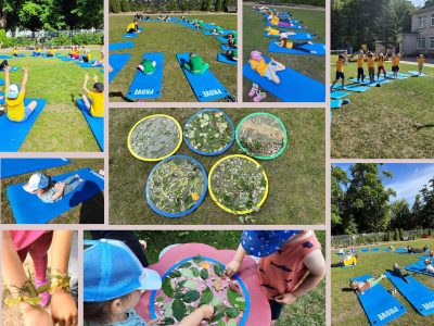 Tarptautinė jogos diena Tarptautinė jogos diena