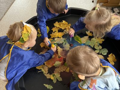 Kodėl vaikai mėgsta medžius?