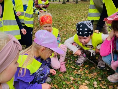 STEAM projektas „Grybų kraitelė“