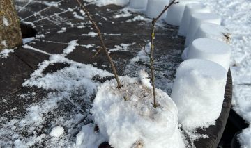 Kūrybinis-sportinis projektas „Sniego statiniai“