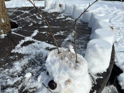 Kūrybinis-sportinis projektas „Sniego statiniai“