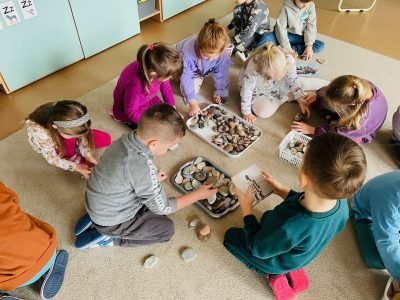 STEAM ugdymo veikla. Tyrinėjame akmenis