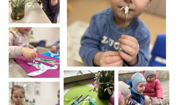 Veikla. Pavasario žiedelis-džiugina mane