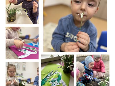 Veikla. Pavasario žiedelis-džiugina mane