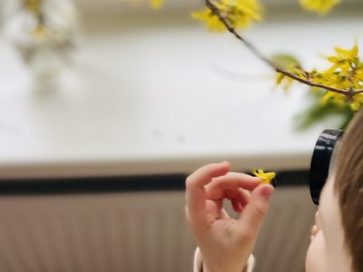 STEAM veikla. Auginu daržoves ir gėles STEAM veikla. Auginu daržoves ir gėles