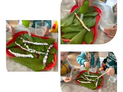 Nuotykių ir atradimų diena