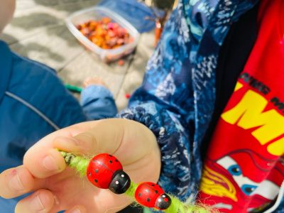 Veikla „Pievos paslaptys“