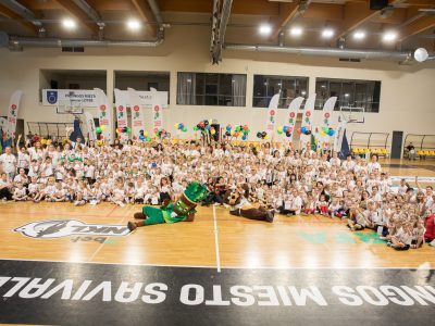 Lietuvos mažųjų žaidynių festivalis