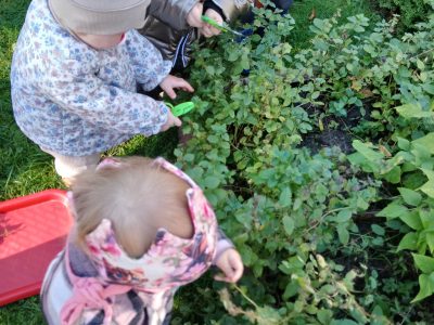 Mažieji daržininkai