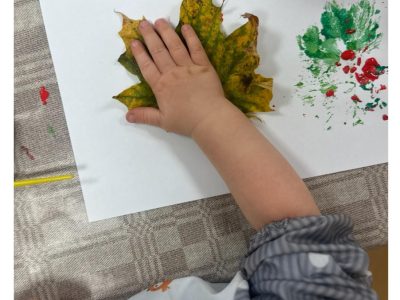 Mus džiugina spalvingas ruduo