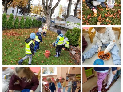 Pažintis su kaštonu