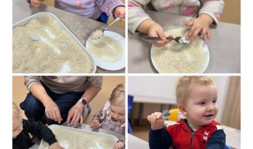 Snaigučių paieškos