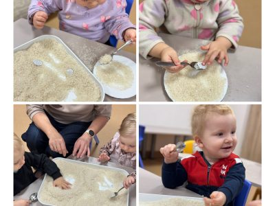 Snaigučių paieškos