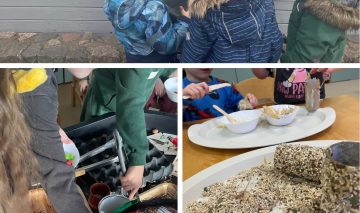 STEAM būrelis „Žiemojantys paukščiai”