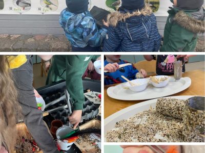 STEAM būrelis „Žiemojantys paukščiai”